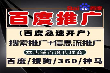 某电商平台的SEM竞价推广实践